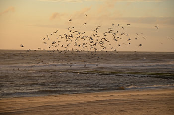 Sonnenuntergang