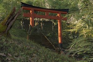 Oud verlaten Japans schrijn in het bos met imposante Torii poort