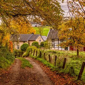 L'automne dans le Limbourg du Sud sur John Kreukniet