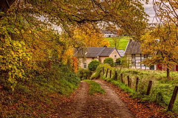 L'automne dans le Limbourg du Sud