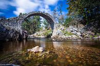 Schotland: Carrbridge - oudste stenen brug van de Highlands van Remco Bosshard thumbnail