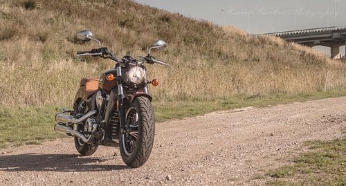Indian Scout Red