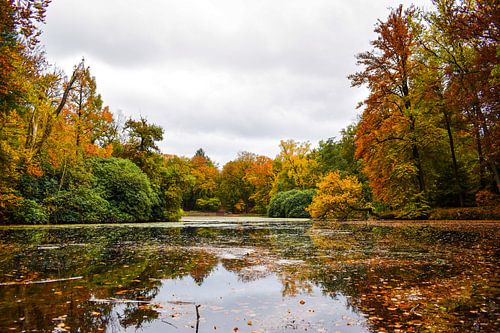 Autumn colors Beekhuizen