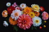 Diverse Kleurrijke Bloemen op Donkere Achtergrond
