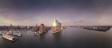 Panorama van de skyline van Hamburg met weerspiegeling