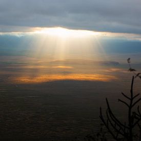 Ngorongoro Krater van Jeroen Schipper