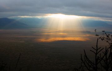 Ngorongoro Krater van Jeroen Schipper