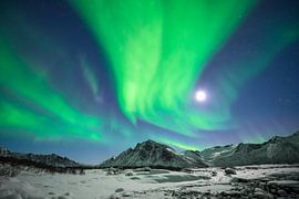 Nordlicht am Nachthimmel über Nordnorwegen von Sjoerd van der Wal Fotografie