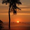 Golden morning by Moetwil en van Dijk - Fotografie