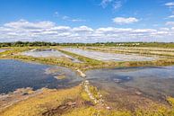Marais de salants nabij Île de Noirmoutier van Easycopters thumbnail