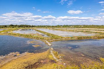 Marais de salants près de l'Île de Noirmoutier