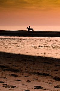 Promenades à cheval sur la plage