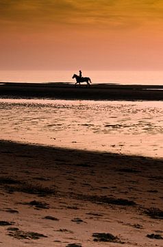 Paardrijden op het strand van RB-Photography