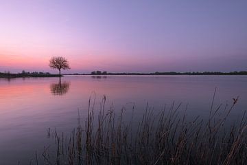 Sonnenuntergang über dem Fluss von Moetwil en van Dijk - Fotografie