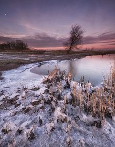 Biesbosch Winterlandschaft von Marcel van Balkom