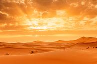 Erg Chebbi, zandduinen bij zonsondergang, Marokko, van Markus Lange thumbnail