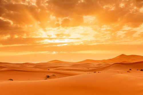 Erg Chebbi, Sanddünen bei Sonnenuntergang, Marokko,