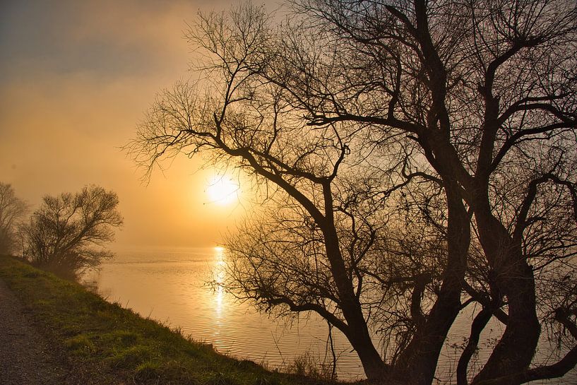 Autumn morning in the Grand Ried by Tanja Voigt