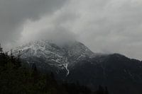 Austrian mountains in the fog