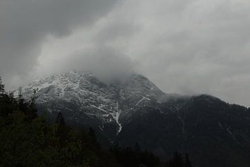 Österreichische Berge im Nebel von Blackbird PhotoGrafie