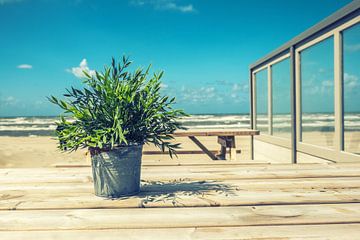 At the beach sur Richard Marks