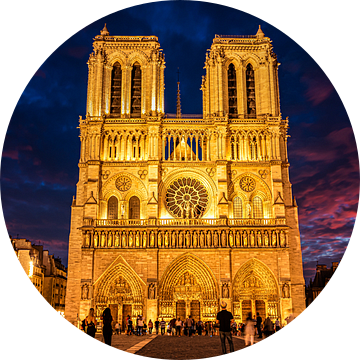 Notre Dame de Paris kathedraal aan de oevers van de Seine bij nacht in Parijs Frankrijk van Dieter Walther
