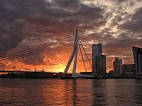 Sunrise at the Erasmusbridge