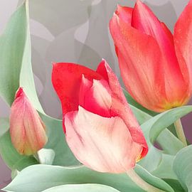 Wild tulips by Fun and Digital Art