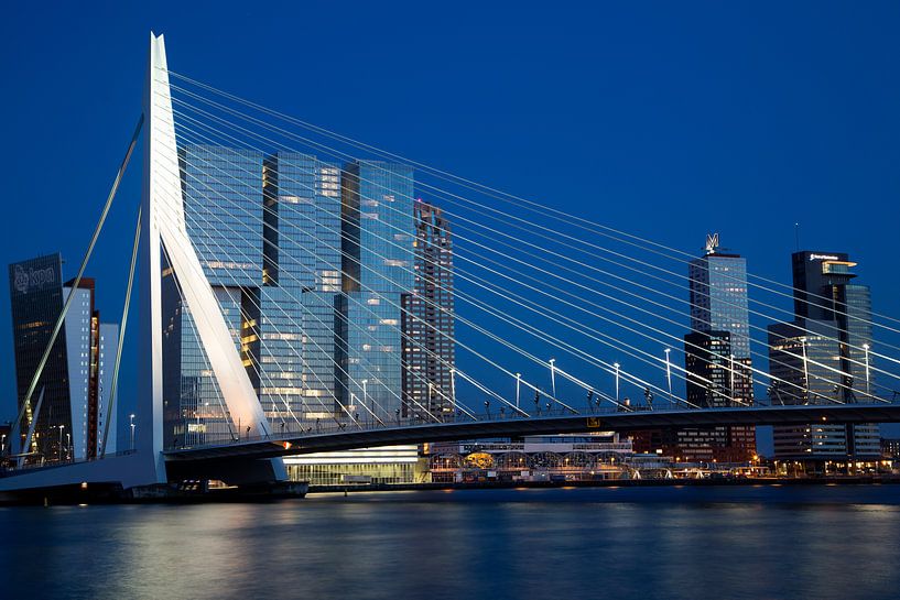 Erasmusbrug van Willem Vernes