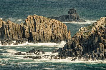 Uitzicht vanaf Lighthouse Road op Bruny Island, Tasmanië van Sven Wildschut