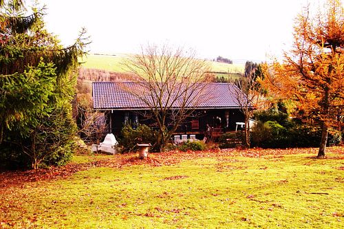 the house between the trees