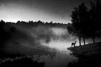 At dawn.....