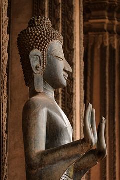 Buddha by Dirk Verwoerd