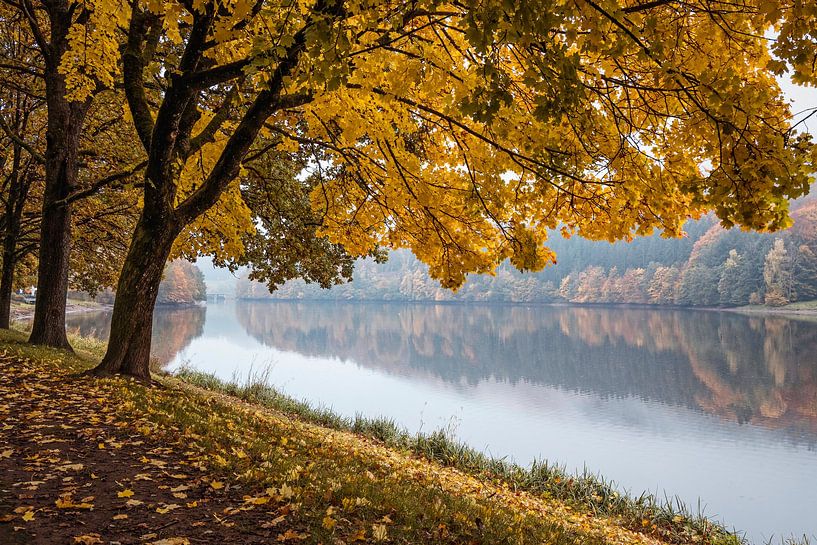 Reservoir Biersdorf am See by Rob Boon