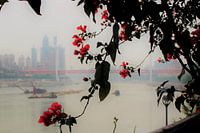 Yangtze Rivier Poëzie 1