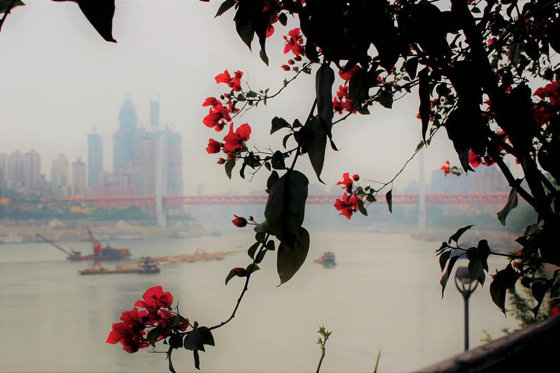 Yangtze Fluss Poesie 1 - Chongqing, China von Loretta's Art