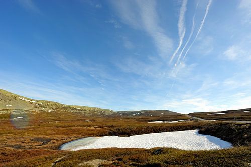 Schneerest im Nipfjället Naturreservat
