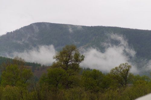 damp in de morgen 2