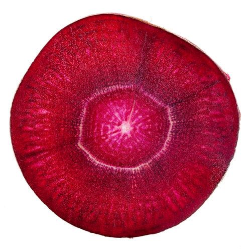 Wortel Rood Doorsnede