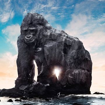 Gorilla rock formation along the coast by Martijn Schrijver