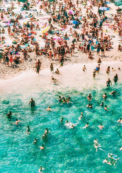 Find the Shark? by Truckpowerr