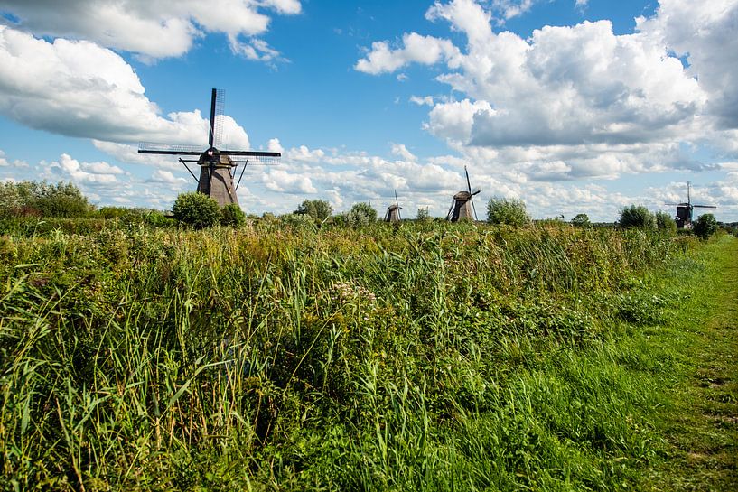 Kinderdijk Holland. by Brian Morgan