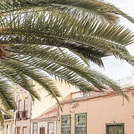 Kleurrijke huizen op Tenerife | Canarische Eilanden van Henrike Schenk