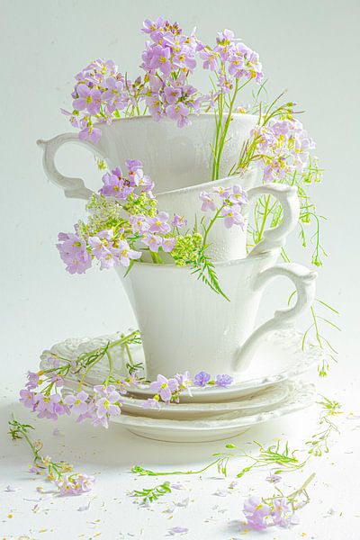 White by Willy Sengers