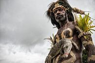 Man with crocodile at crocodile festival in Papua New Guinea. by Ron van der Stappen thumbnail