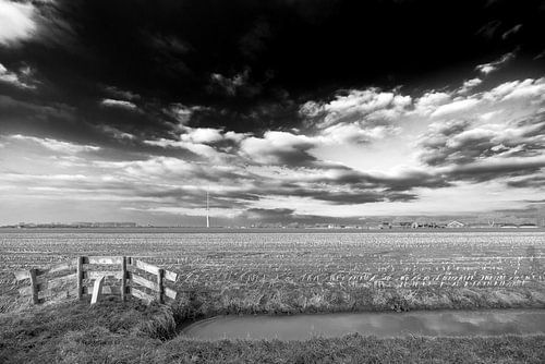 Wide view of fields and meadows near IJsselstein.