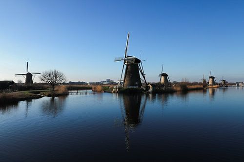 Holländische Mühlen am Wasser - Der Kinderdijk von Patrick Gamelkoorn