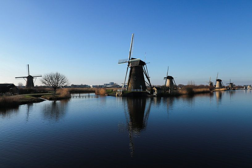 Dutch mills on the waterfront - The Kinderdijk by Patrick Gamelkoorn