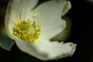 Souvenirs d'un autre été
