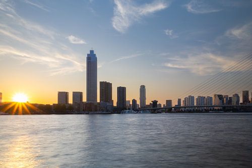 Rotterdam city centre skyline